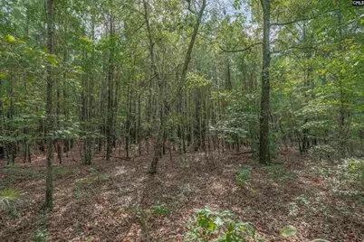Fulmer Road, Blythewood, SC 29016 - Photo 20