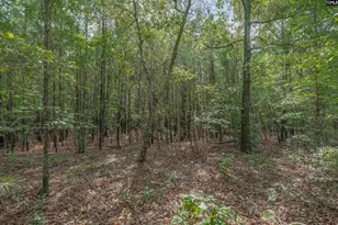 Fulmer Rd, Blythewood, SC 29016 - Photo 20