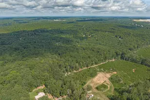 Fulmer Rd, Blythewood, SC 29016 - Photo 10