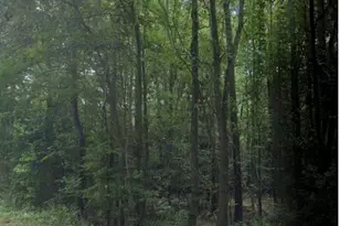 6 Acres Woodberry Ln, North Augusta, SC 29841 - Photo 1