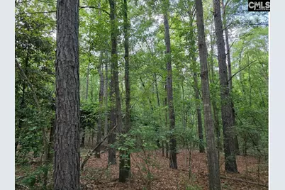 7 Acres Woodberry Lane, North Augusta, SC 29841 - Photo 2