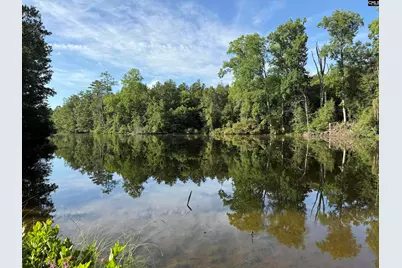 469 Brodie Road, Leesville, SC 29070 - Photo 6