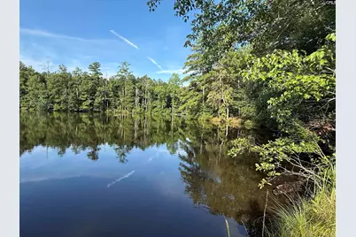 469 Brodie Road, Leesville, SC 29070 - Photo 2