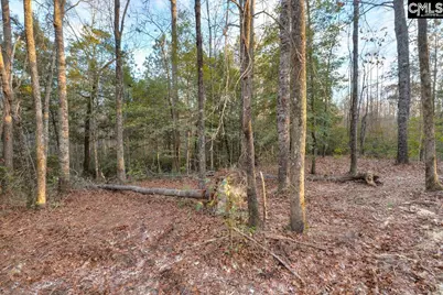 161 Raglins Way, Lugoff, SC 29078 - Photo 10