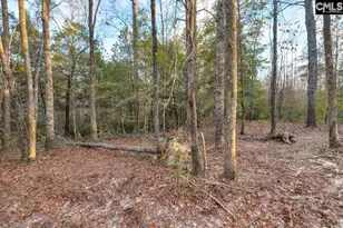 161 Raglins Wy, Lugoff, SC 29078 - Photo 10