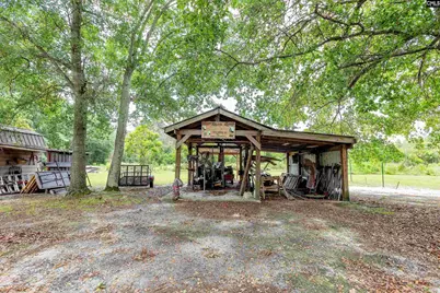 1167 Begonia Road, Neeses, SC 29107 - Photo 32