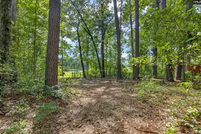 621 Martin Neese Road, Swansea, SC 29160 - Photo 28