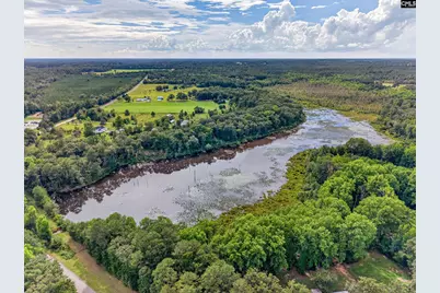 621 Martin Neese Road, Swansea, SC 29160 - Photo 4