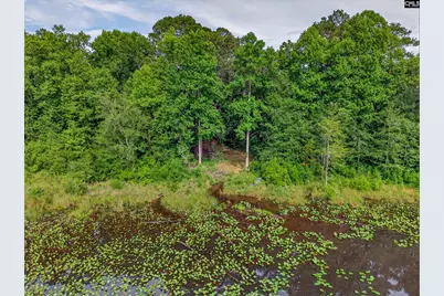621 Martin Neese Road, Swansea, SC 29160 - Photo 30