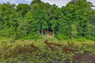 621 Martin Neese Rd, Swansea, SC 29160 - Photo 30