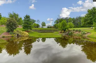 2286 Harvestwood Ln, Chapin, SC 29036 - Photo 72