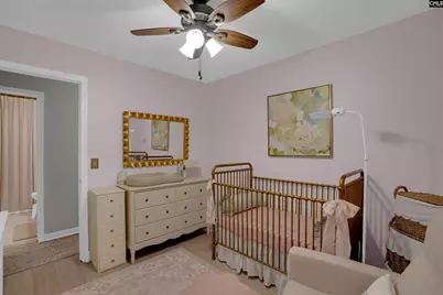 225 Mossborough Drive, Lexington, SC 29073 - Photo 24