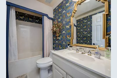 441 Oxenbridge Way, Chapin, SC 29036 - Photo 30