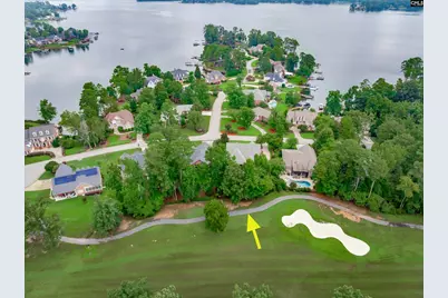 441 Oxenbridge Way, Chapin, SC 29036 - Photo 44