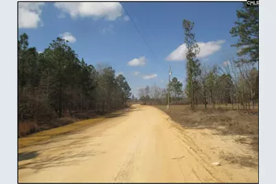 000 Webbs Pond Rd, Windsor, SC 29853 - Photo 4