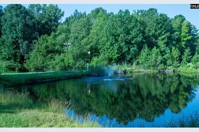 138 Rice Creek Lane, Blythewood, SC 29016 - Photo 14