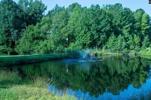 138 Rice Creek Ln, Blythewood, SC 29016 - Photo 14
