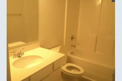 1416 Tanreall Drive, Lexington, SC 29073 - Photo 10