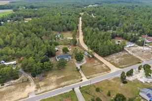 147 Scrub Oak Rd, Pelion, SC 29123 - Photo 32