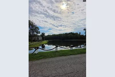 140 Bay Front Drive, Chapin, SC 29036 - Photo 30