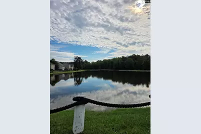 140 Bay Front Drive, Chapin, SC 29036 - Photo 44