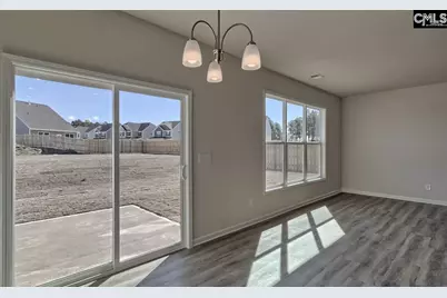 355 Welbeck Road, Lexington, SC 29073 - Photo 16