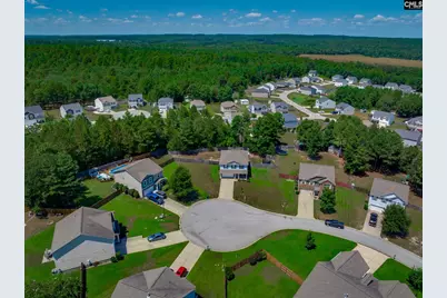 322 Copper Queen Court, Lexington, SC 29073 - Photo 52