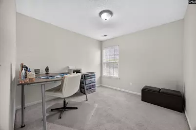 233 Stagone Lane, Lexington, SC 29073 - Photo 8