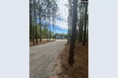 895 Horses Neck Road, Sandy Run, SC 29160 - Photo 26