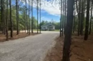 895 Horses Neck Rd, Sandy Run, SC 29160 - Photo 26
