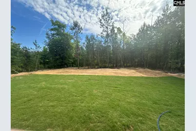 895 Horses Neck Road, Sandy Run, SC 29160 - Photo 24