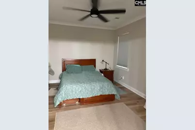 895 Horses Neck Road, Sandy Run, SC 29160 - Photo 10