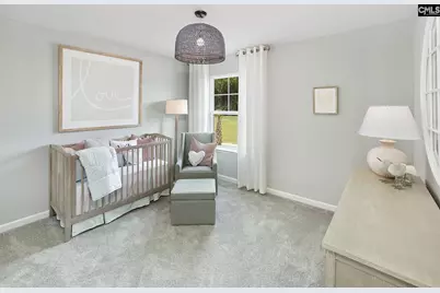 394 Mont Haven Place, Lexington, SC 29072 - Photo 10