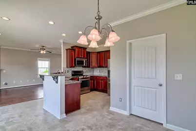 469 Walking Lane, Lexington, SC 29073 - Photo 10