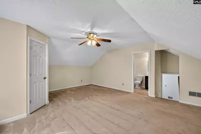 913 Willowood Parkway, Chapin, SC 29036 - Photo 24