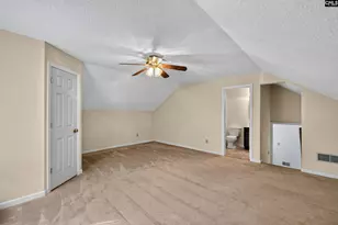 913 Willowood Pkwy, Chapin, SC 29036 - Photo 24