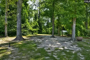 428 Dupre Mill Rd, Lexington, SC 29072 - Photo 24