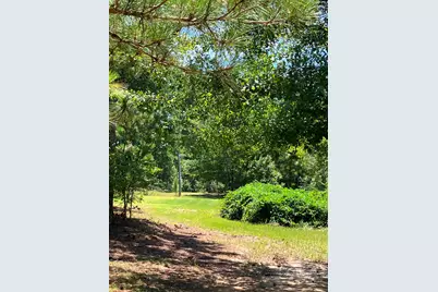 Tbd Mack Street, Gaston, SC 29053 - Photo 2