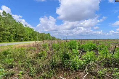 0000 N Brewington Road 3B, Manning, SC 29102 - Photo 42