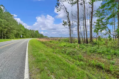 0000 N Brewington Road 3B, Manning, SC 29102 - Photo 40
