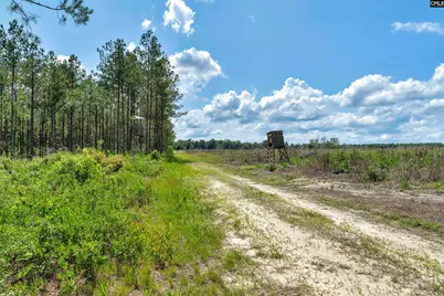 0000 N Brewington Road 3C, Manning, SC 29102 - Photo 34