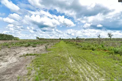 0000 N Brewington Road 3C, Manning, SC 29102 - Photo 38