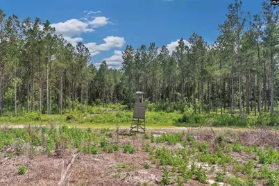 0000 N Brewington Road 3C, Manning, SC 29102 - Photo 10