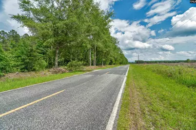 0000 N Brewington Road 3C, Manning, SC 29102 - Photo 4