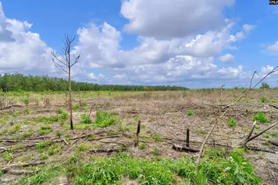 0000 N Brewington Road 3C, Manning, SC 29102 - Photo 28
