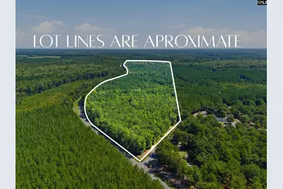 0 Shillings Bridge Road, Orangeburg, SC 29115 - Photo 2