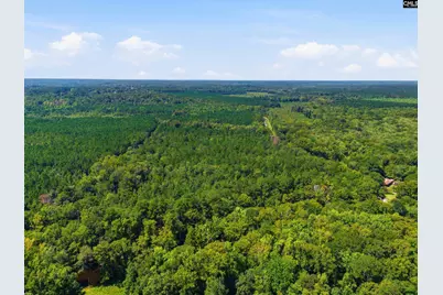 0 Shillings Bridge Road, Orangeburg, SC 29115 - Photo 12
