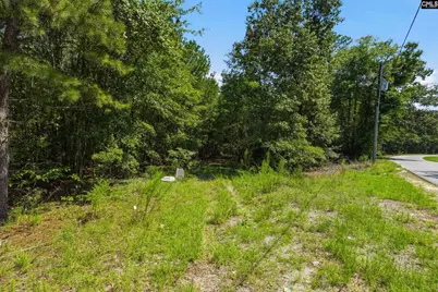 0 Shillings Bridge Road, Orangeburg, SC 29115 - Photo 4