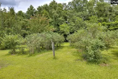 8095 Broom Factory Road, Rembert, SC 29128 - Photo 6