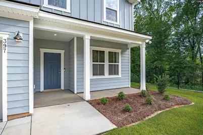 169 Monroe Preserve Lane, Chapin, SC 29036 - Photo 2